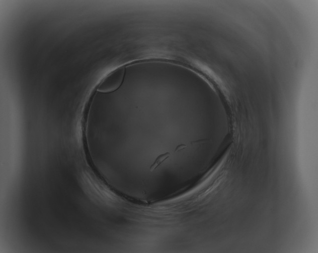 X0000100751463200806261533