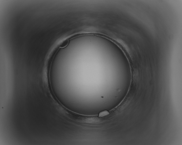 X0000100751464200806261533