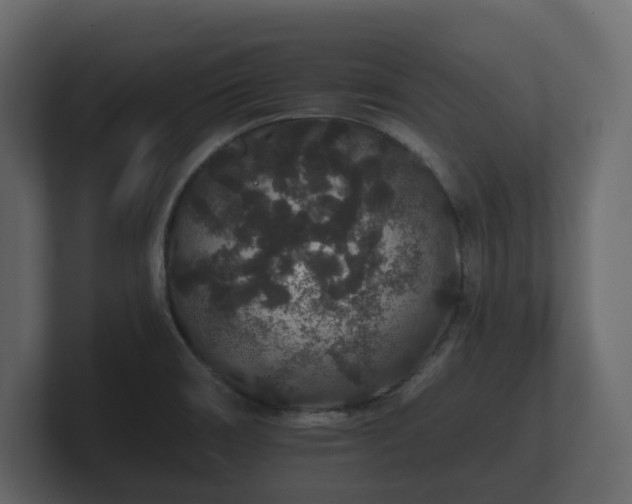 X0000100751466200806261533