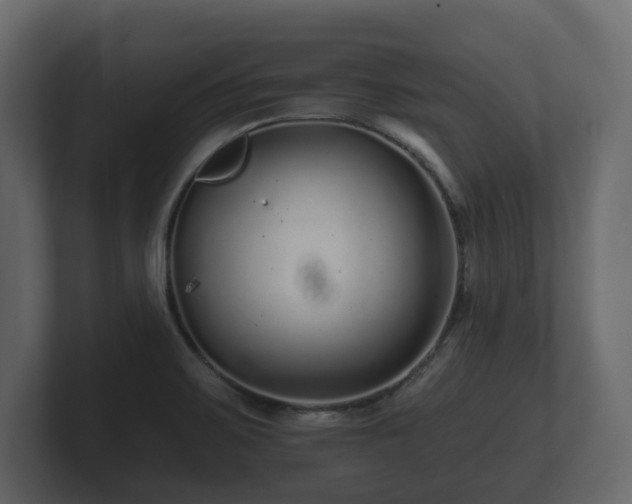 X0000100751467200806261533