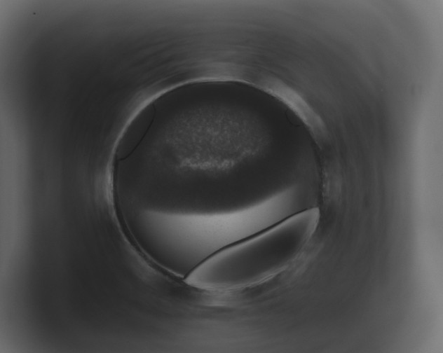 X0000100751468200806261533