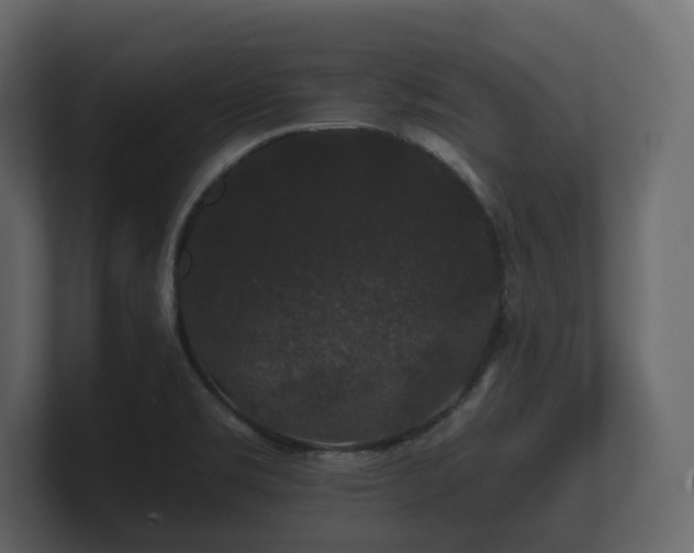 X0000100751469200806261533