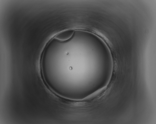 X0000100751471200806261533