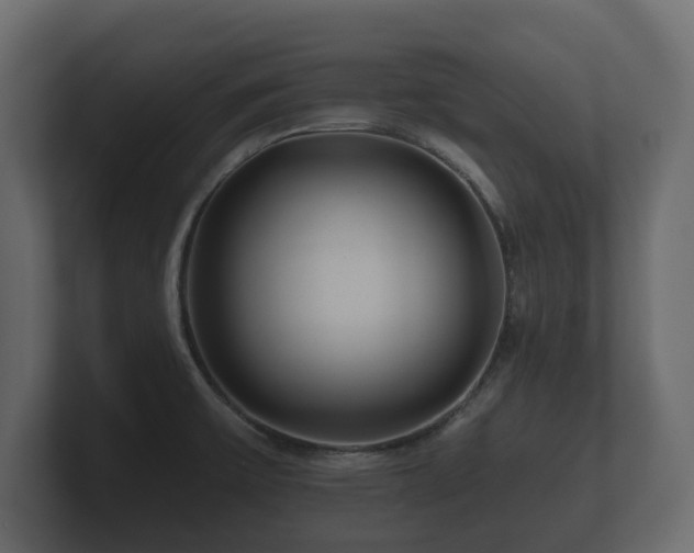 X0000100751475200806261533