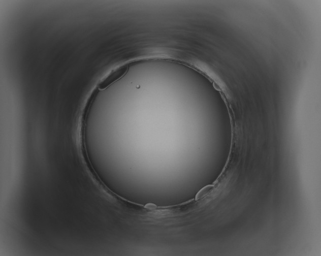 X0000100751477200806261533