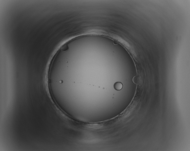 X0000100751478200806261533