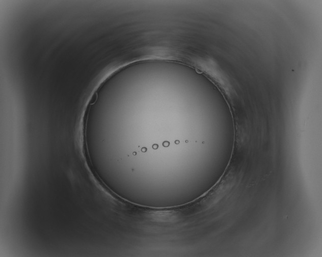 X0000100751479200806261533