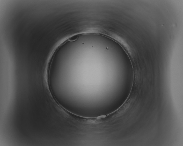 X0000100751480200806261533