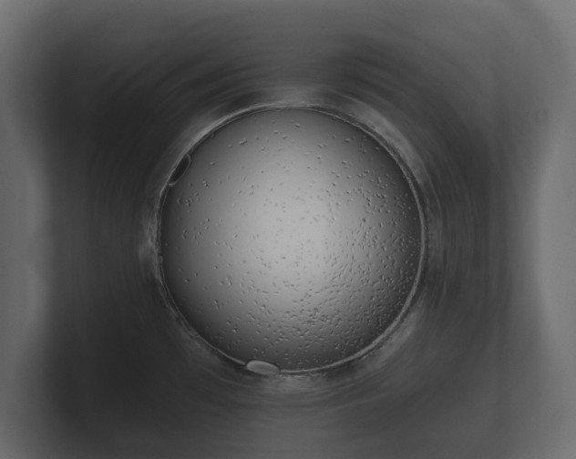 X0000100751481200806261533