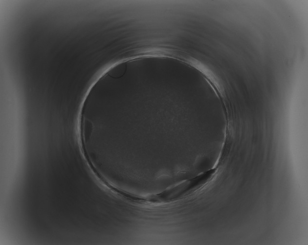 X0000100751482200806261533