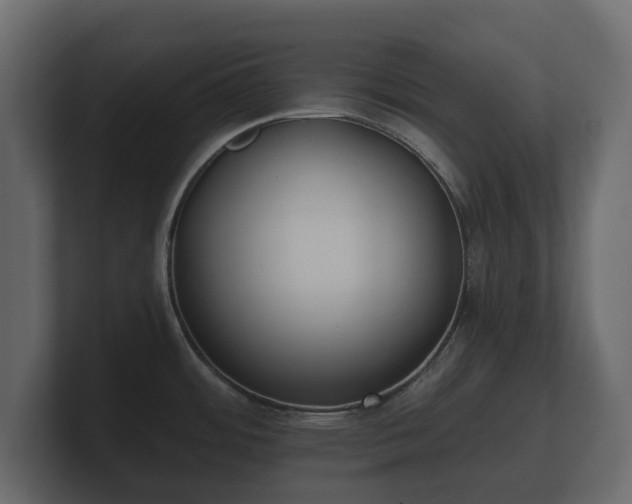 X0000100751484200806261533