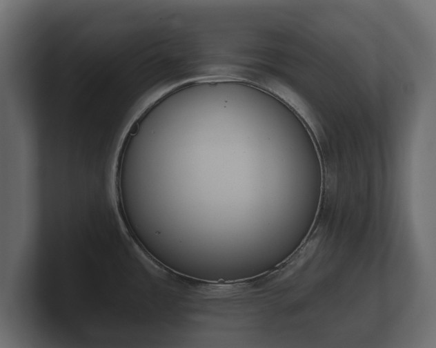 X0000100751485200806261533