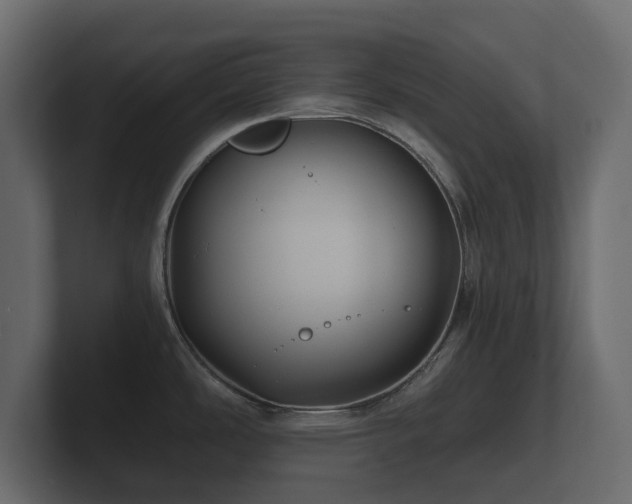 X0000100751486200806261533