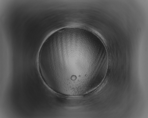 X0000100751487200806261533