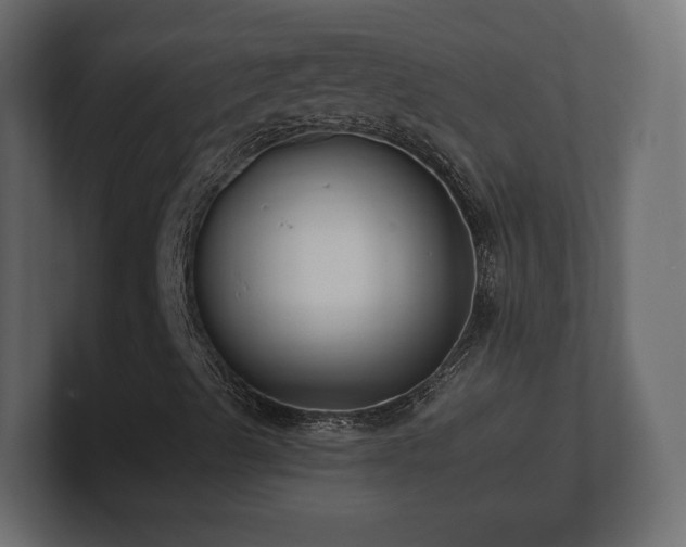 X0000100751489200806261532