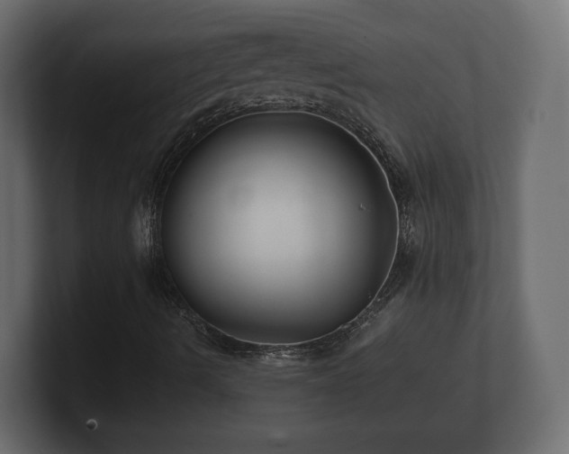 X0000100751490200806261532