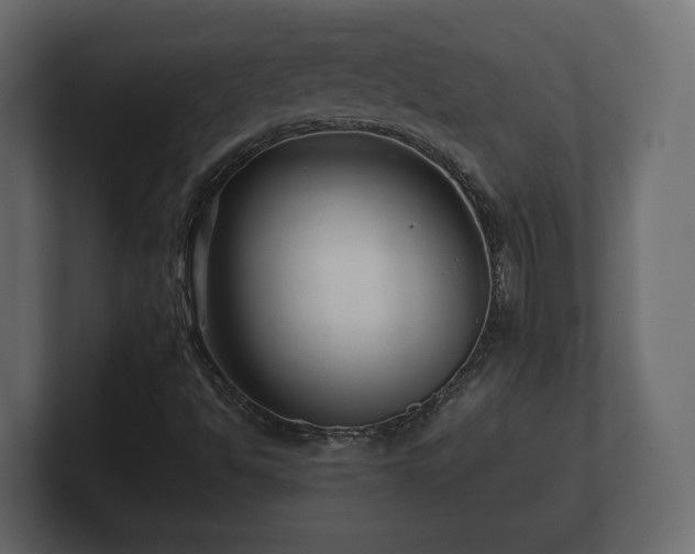 X0000100751494200806261532