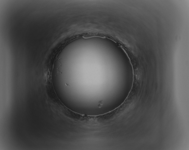 X0000100751495200806261532