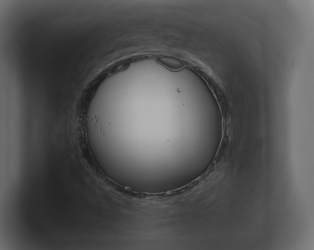 X0000100751496200806261532