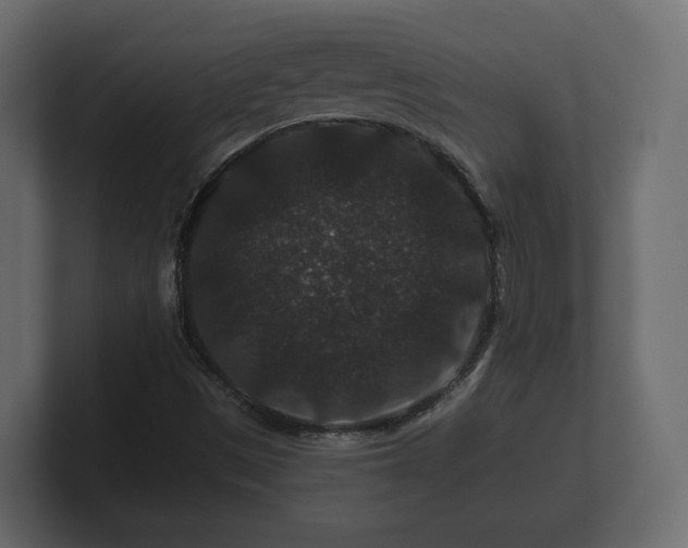 X0000100751497200806261532