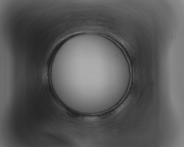 X0000100751498200806261532