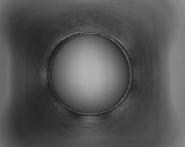 X0000100751499200806261532