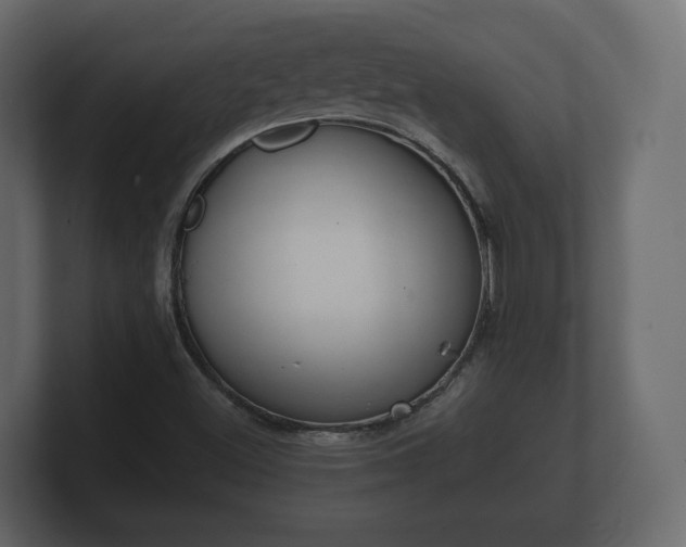 X0000100751500200806261532