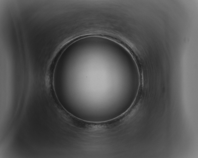 X0000100751501200806261532