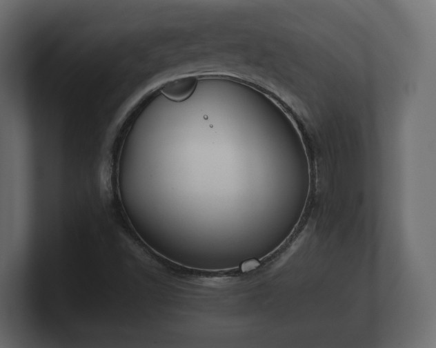 X0000100751502200806261532