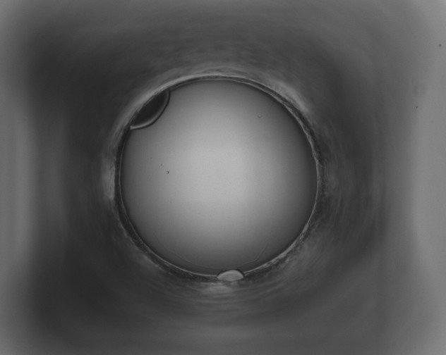 X0000100751504200806261532