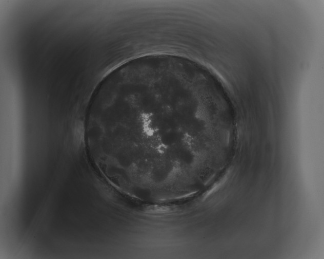 X0000100751505200806261533