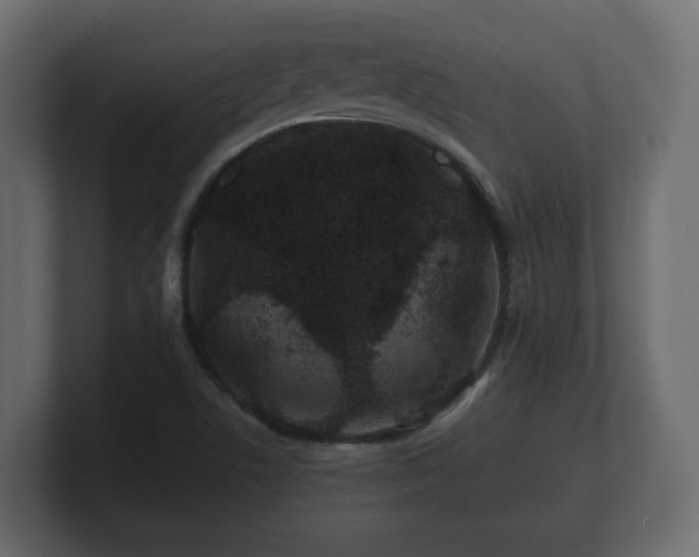 X0000100751506200806261533