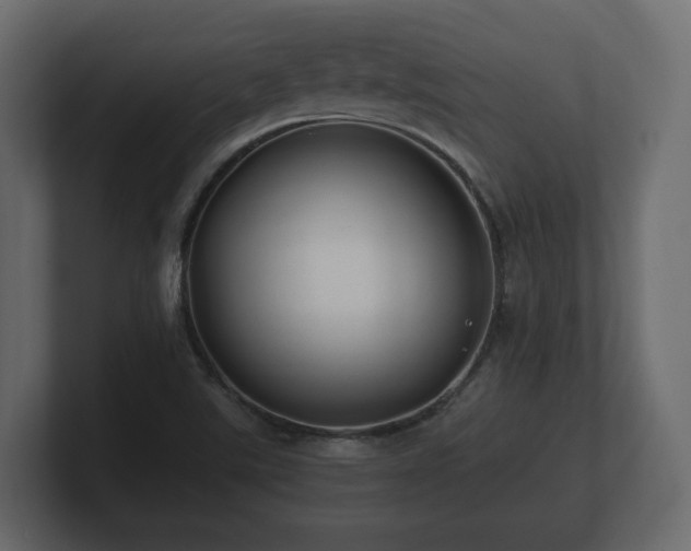 X0000100751507200806261533