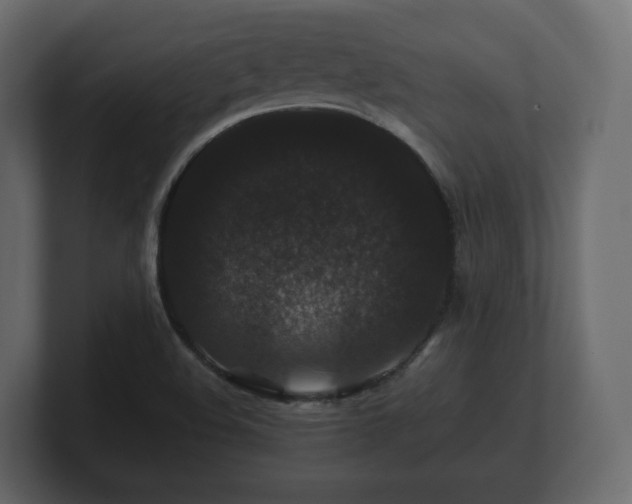 X0000100751508200806261533