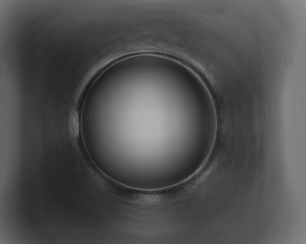 X0000100751509200806261533