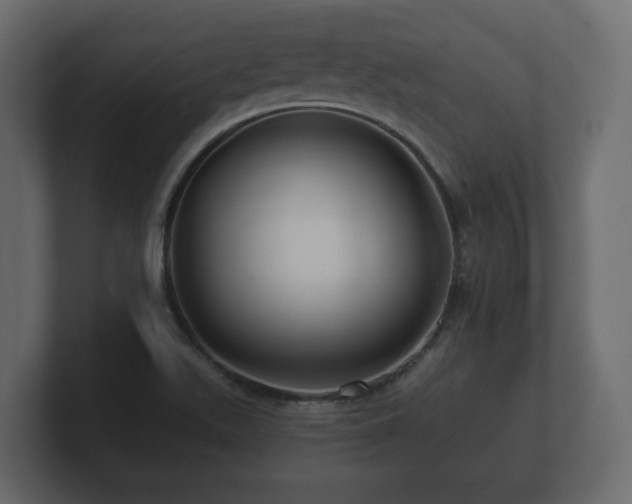 X0000100751511200806261533