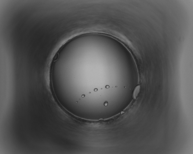 X0000100751512200806261533