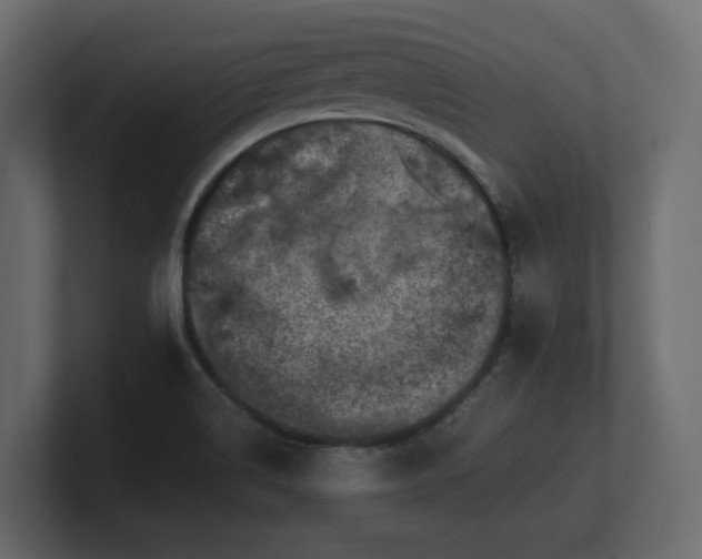 X0000100751514200806261533