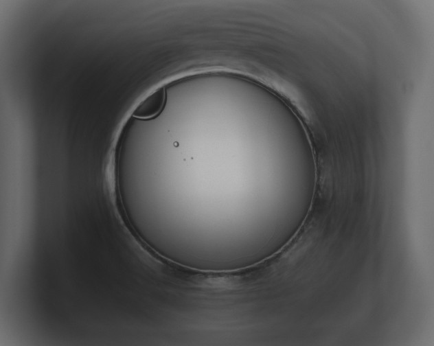 X0000100751516200806261533