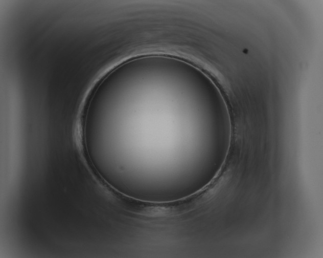 X0000100751517200806261533