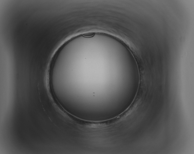 X0000100751518200806261533