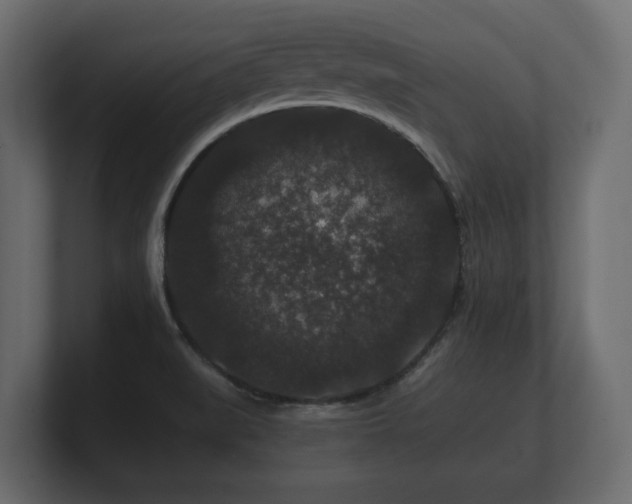 X0000100751519200806261533