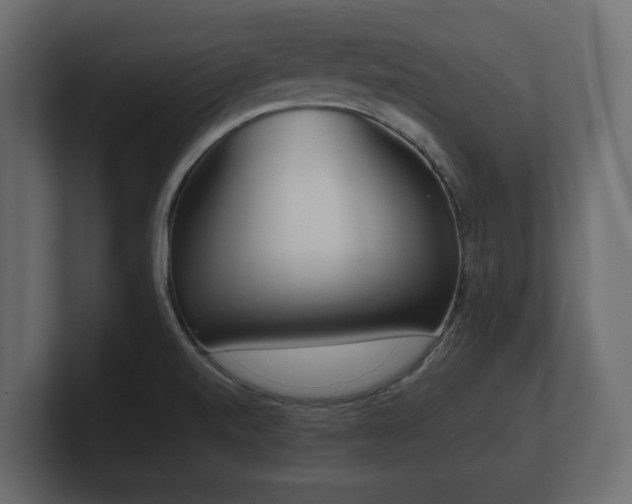 X0000100751520200806261533