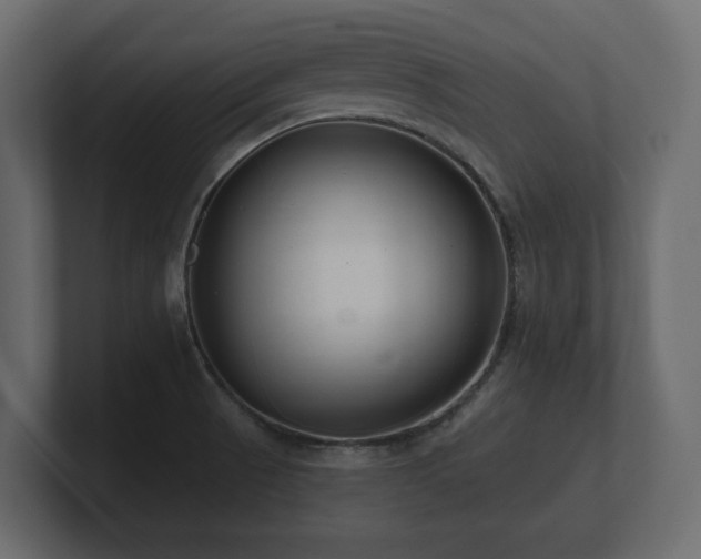 X0000100751521200806261533