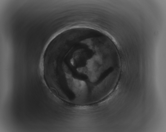 X0000100751522200806261533