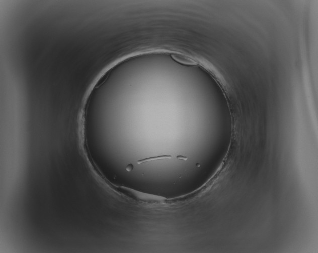 X0000100751524200806261533