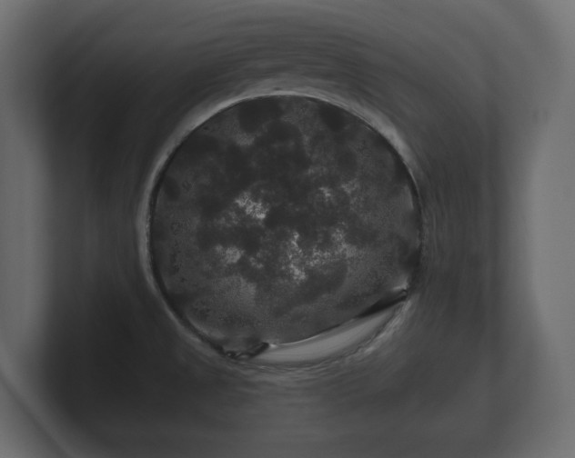 X0000100751525200806261533