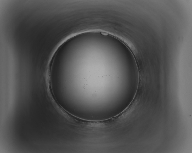 X0000100751526200806261533