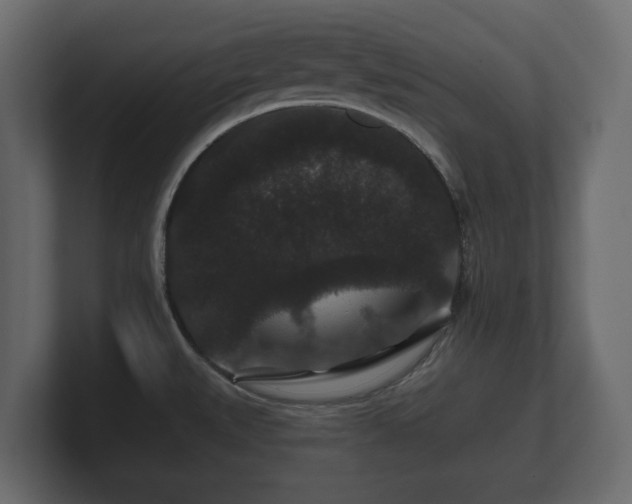 X0000100751527200806261533