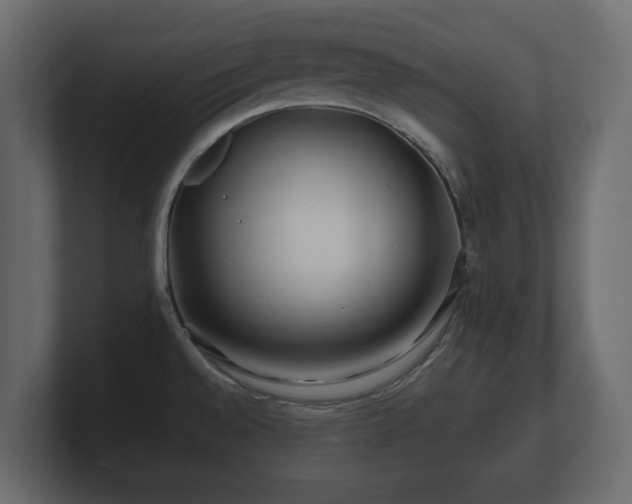 X0000100751528200806261533